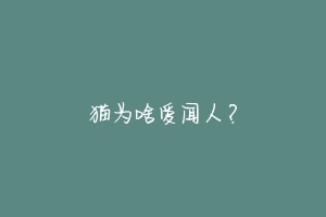 猫为啥爱闻人?-动物百科