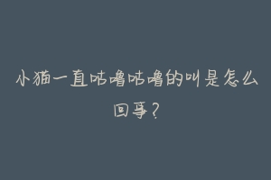 小猫一直咕噜咕噜的叫是怎么回事?-动物百科