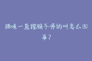 猫咪一直蹬腿不停的叫怎么回事?-动物百科