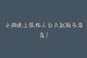 小猫晚上很粘人白天就躲在角落?-动物百科
