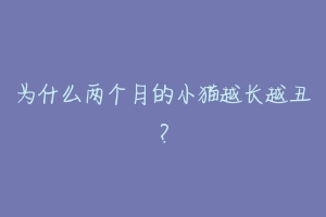 为什么两个月的小猫越长越丑?-动物百科