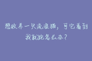 想收养一只流浪猫,可它看到我就跑怎么办?-动物百科