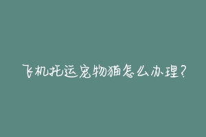 飞机托运宠物猫怎么办理?-动物百科