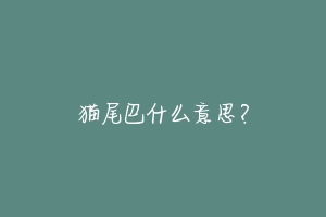 猫尾巴什么意思?-动物百科