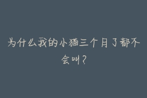 为什么我的小猫三个月了都不会叫?-动物百科