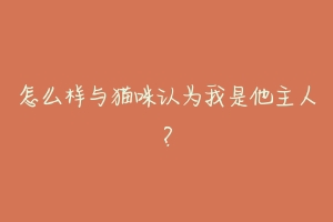 怎么样与猫咪认为我是他主人?-动物百科