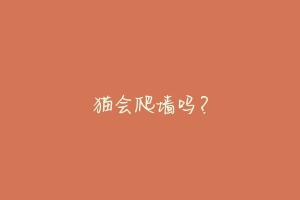 猫会爬墙吗?-动物百科