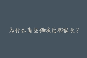 为什么有些猫咪后脚很长?-动物百科