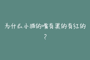 为什么小猫的嘴有黑的有红的?-动物百科