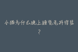 小猫为什么晚上睡觉老抖得瑟?-动物百科