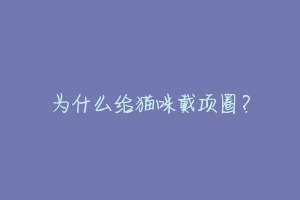 为什么给猫咪戴项圈?-动物百科