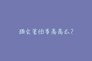 猫会害怕举高高么?-动物百科