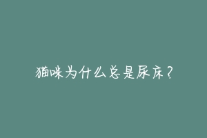 猫咪为什么总是尿床?-动物百科