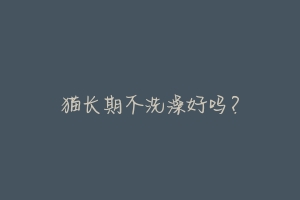 猫长期不洗澡好吗?-动物百科