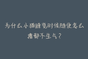 为什么小猫睡觉时候随便怎么撸都不生气?-动物百科