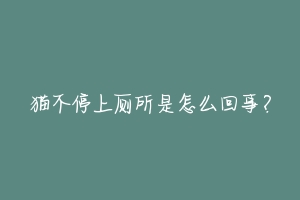 猫不停上厕所是怎么回事?-动物百科