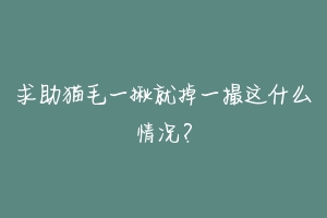 求助猫毛一揪就掉一撮这什么情况?-动物百科