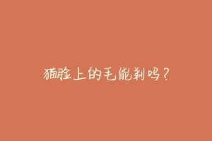 猫脸上的毛能剃吗?-动物百科