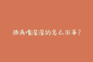 猫满嘴湿湿的怎么回事?-动物百科