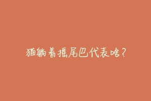 猫躺着摇尾巴代表啥?-动物百科