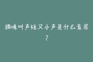 猫咪叫声短又小声是什么意思?-动物百科