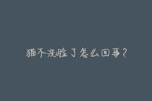 猫不洗脸了怎么回事?-动物百科