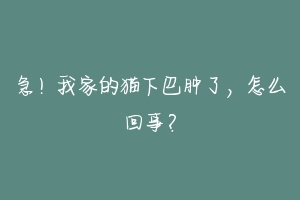 急!我家的猫下巴肿了,怎么回事?-动物百科