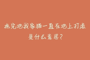 拖完地我家猫一直在地上打滚是什么意思?-动物百科