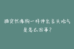 猫突然像狗一样伸出舌头哈气是怎么回事?-动物百科