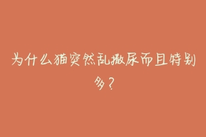 为什么猫突然乱撒尿而且特别多?-动物百科