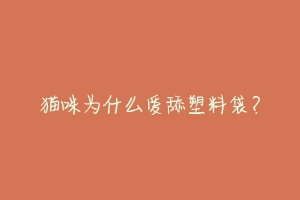 猫咪为什么爱舔塑料袋?-动物百科