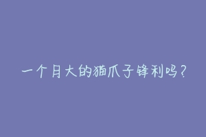 一个月大的猫爪子锋利吗?-动物百科