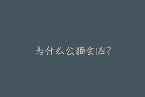 为什么公猫会凶?-动物百科
