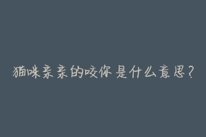 猫咪亲亲的咬你是什么意思？-动物百科