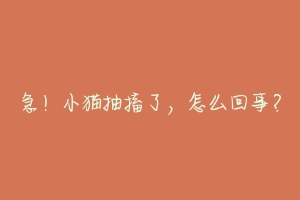 急！小猫抽搐了，怎么回事？-动物百科