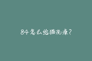 84怎么给猫洗澡？-动物百科