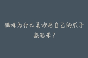 猫咪为什么喜欢把自己的爪子藏起来?-动物百科
