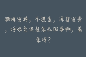 猫咪发抖,不进食,浑身发烫,呼吸急促是怎么回事啊,着急呀?-动物百科