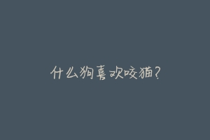 什么狗喜欢咬猫?-动物百科