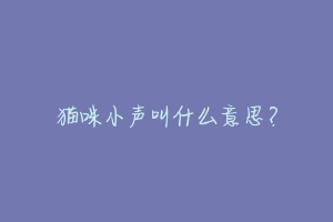猫咪小声叫什么意思?-动物百科