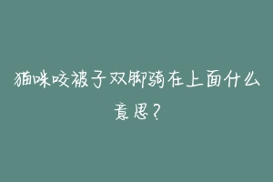 猫咪咬被子双脚骑在上面什么意思?-动物百科