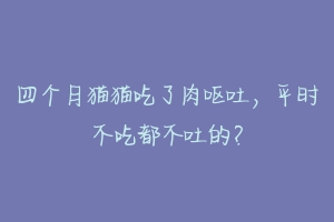 四个月猫猫吃了肉呕吐,平时不吃都不吐的?-动物百科