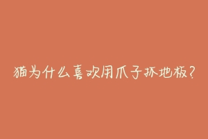 猫为什么喜欢用爪子抓地板?-动物百科