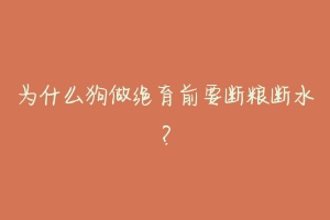 为什么狗做绝育前要断粮断水？-动物百科