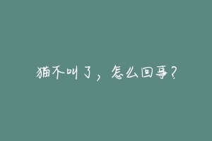 猫不叫了，怎么回事？-动物百科