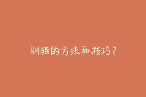 驯猫的方法和技巧？-动物百科
