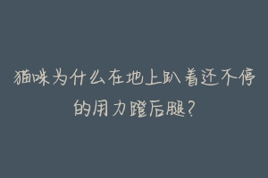 猫咪为什么在地上趴着还不停的用力蹬后腿？-动物百科