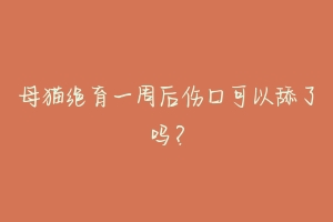 母猫绝育一周后伤口可以舔了吗?-动物百科