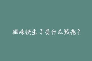 猫咪快生了有什么预兆?-动物百科