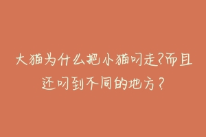 大猫为什么把小猫叼走?而且还叼到不同的地方?-动物百科